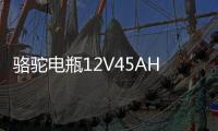 骆驼电瓶12V45AH适配长安面包车五菱宏光S轩逸思域十代汽车蓄电池